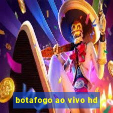 botafogo ao vivo hd